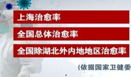 上海抗疫爆料视频最新版,揭秘病毒传播与防控挑战